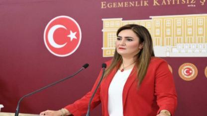 Kılıç: Cemevleri Eşit Yurttaşlığın Gereğidir