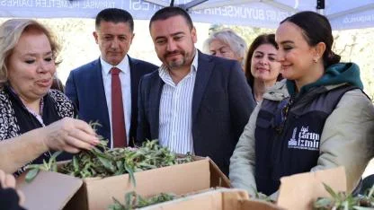 Menderesli Kadınlar Salep Üretimiyle Umutlandı