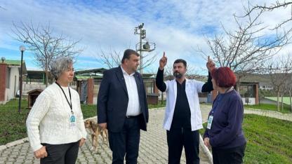 Seferihisar’da Can Dostlar İçin Kulübe Seferberliği