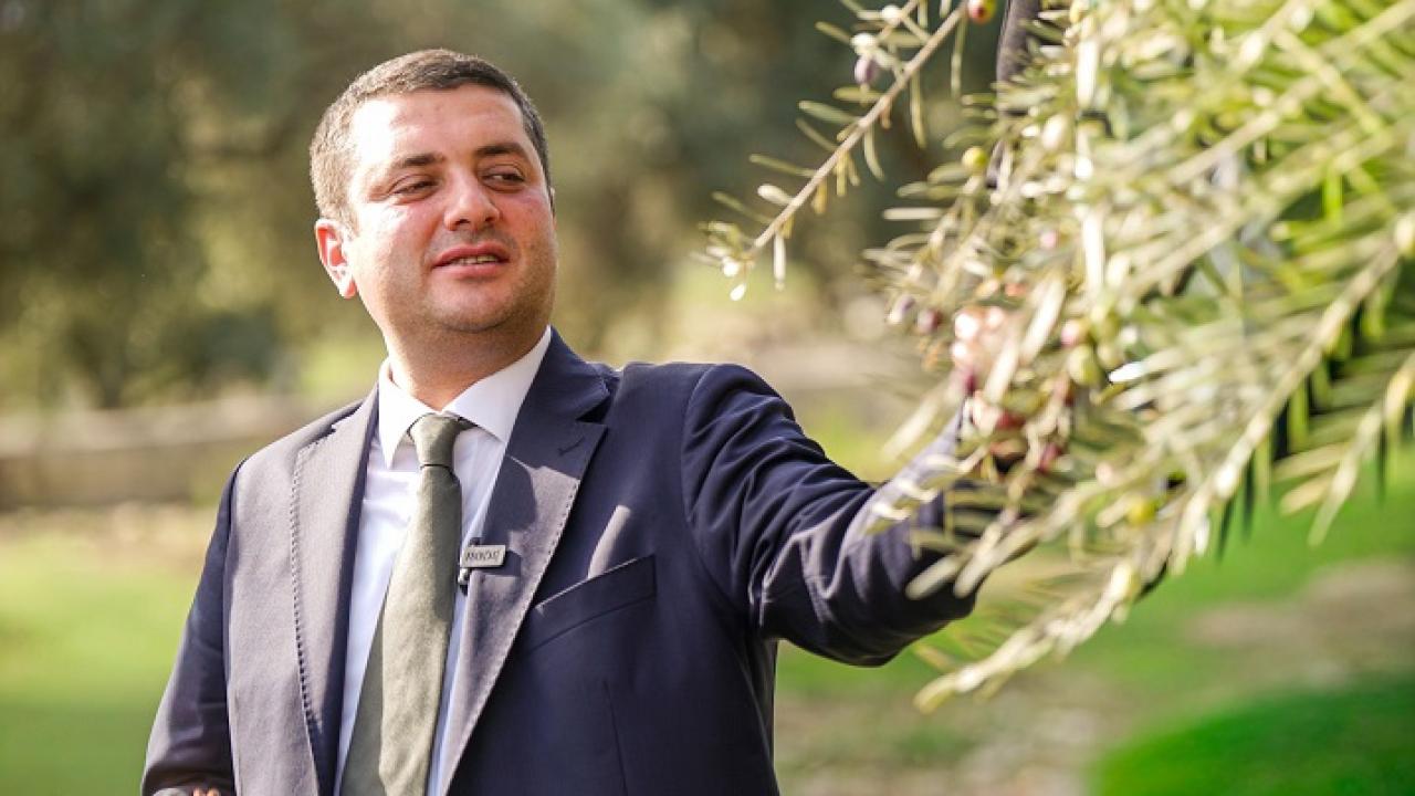 Torbalı’nın Zeytini Markalaştı: Metropolis Raflara Geliyor