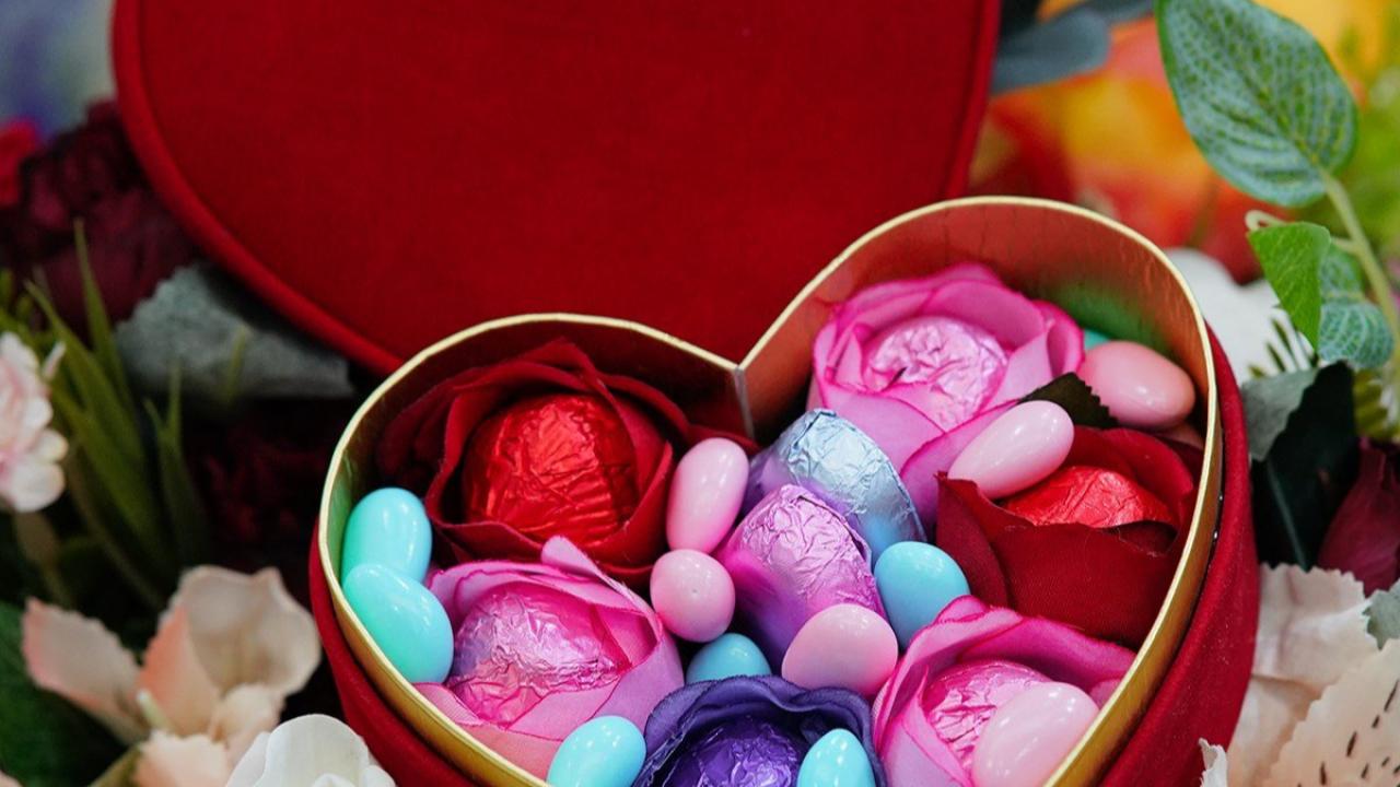 14 Şubat Saçmalığı