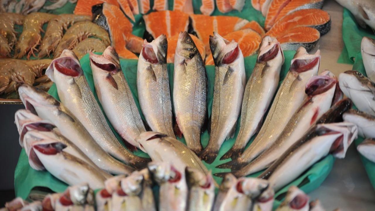 Balık İhracatı Yıla Güçlü Başladı