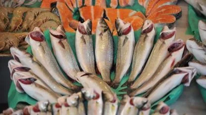 Balık İhracatı Yıla Güçlü Başladı