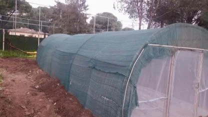 Bergama’da Atıktan Üretime Çevreci Sera Projesi