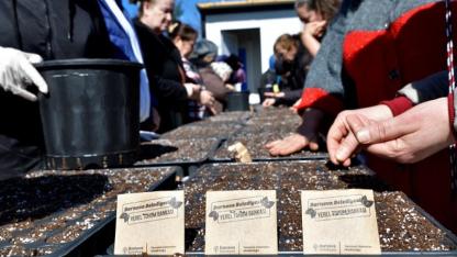 Bornova’da Kadınlar Kent Bostanlarında Üretime Başladı