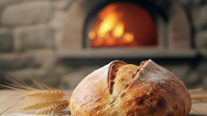 EKMEK VE İNSANIN HİKAYESİ