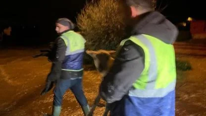 İzmir’de Yaşam İçin Seferberlik