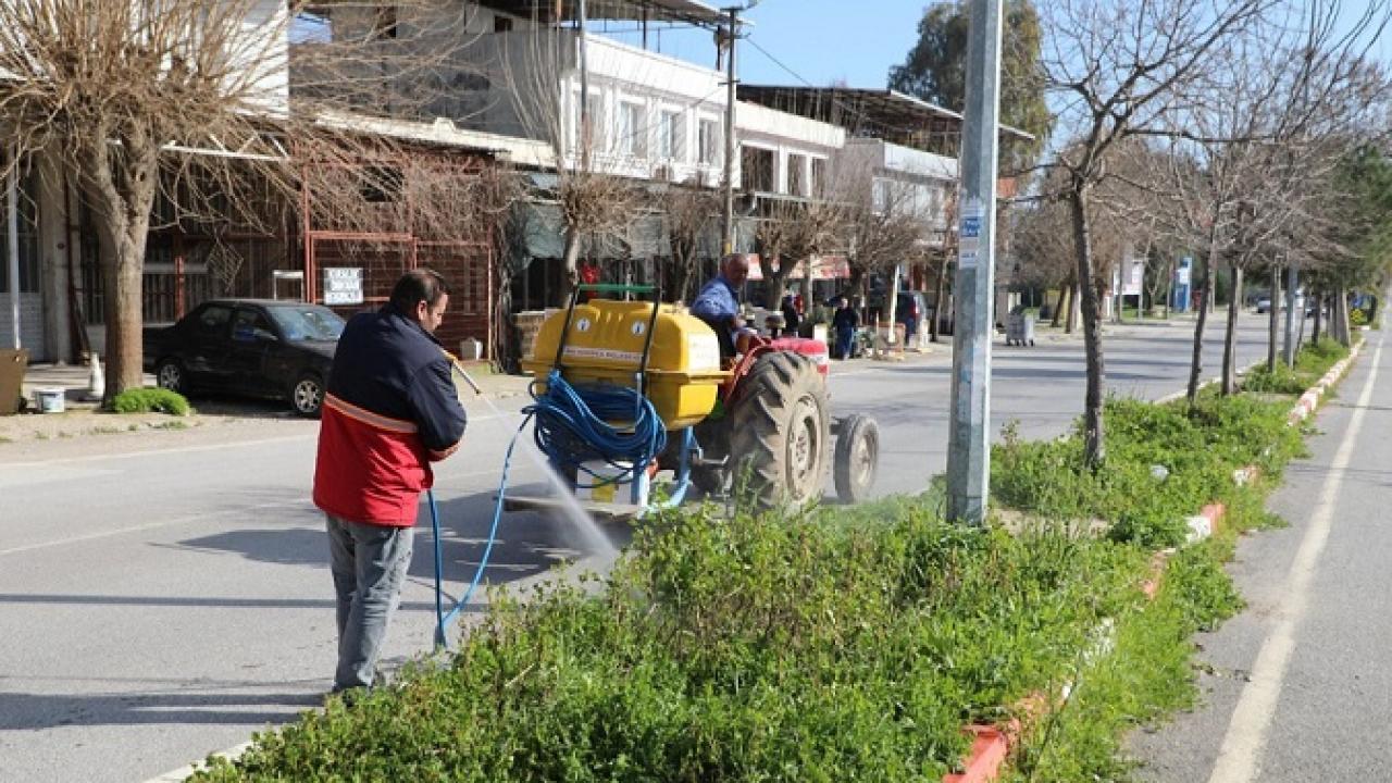Menderes’te Yabancı Otlarla Mücadele Başladı