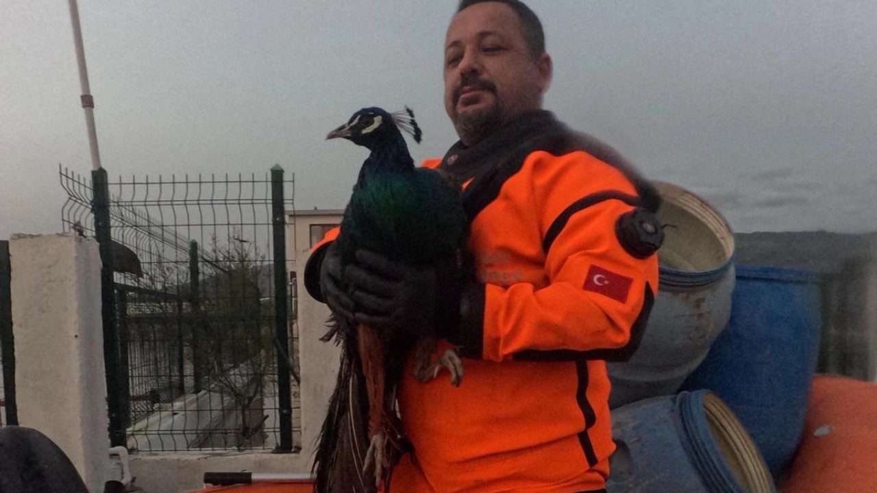 Menemen’de Sel Sularına Karşı Zamanla Yarış