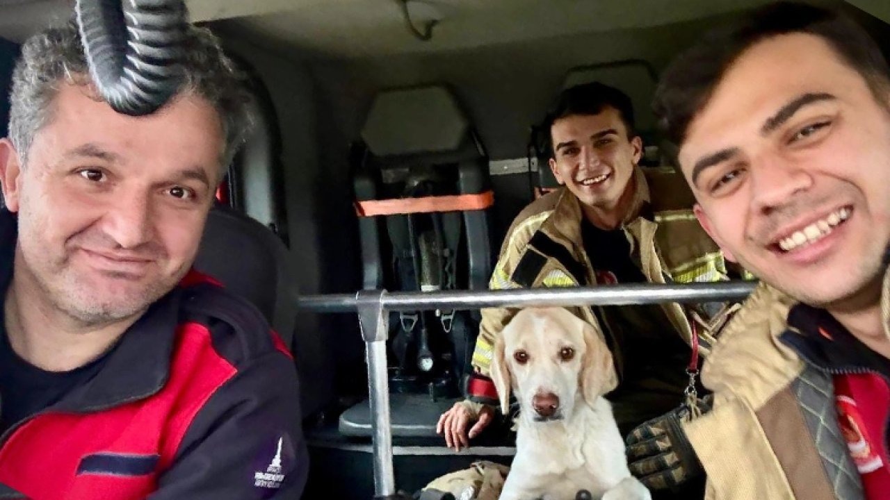 Torbalı’da Mahsur Kalan Köpek İtfaiye Tarafından Kurtarıldı
