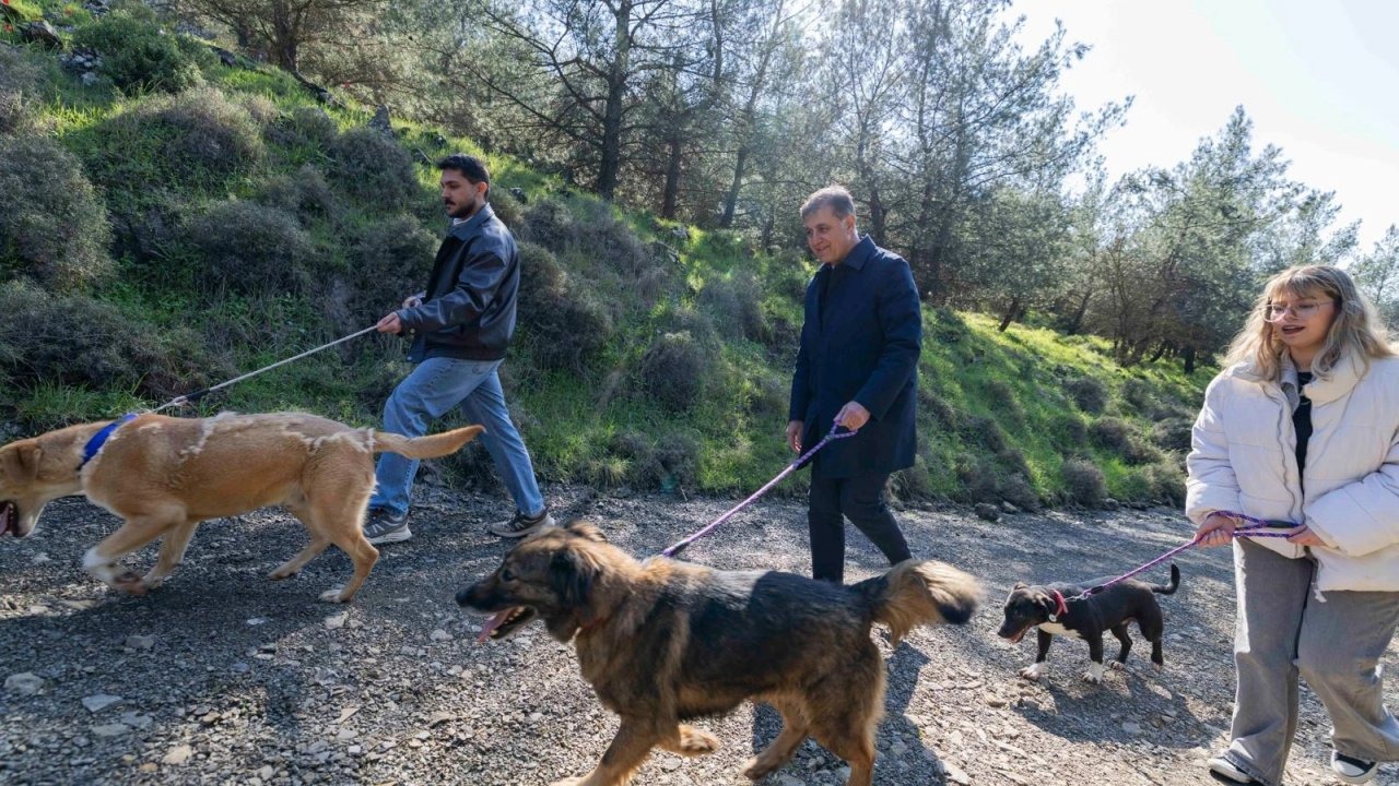 Başkan Tugay’dan Sokak Hayvanları İçin Gönüllülük Çağrısı