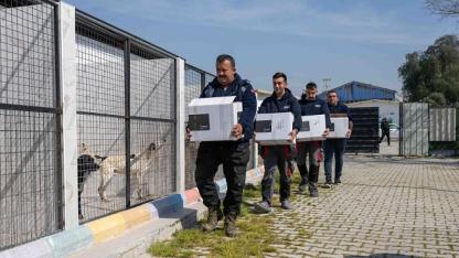 Bornova’da Sokak Hayvanlarına Destek