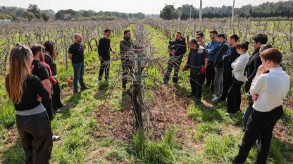 Buca’nın Bağları Öğrencilere Uygulamalı Eğitim Alanı Oldu