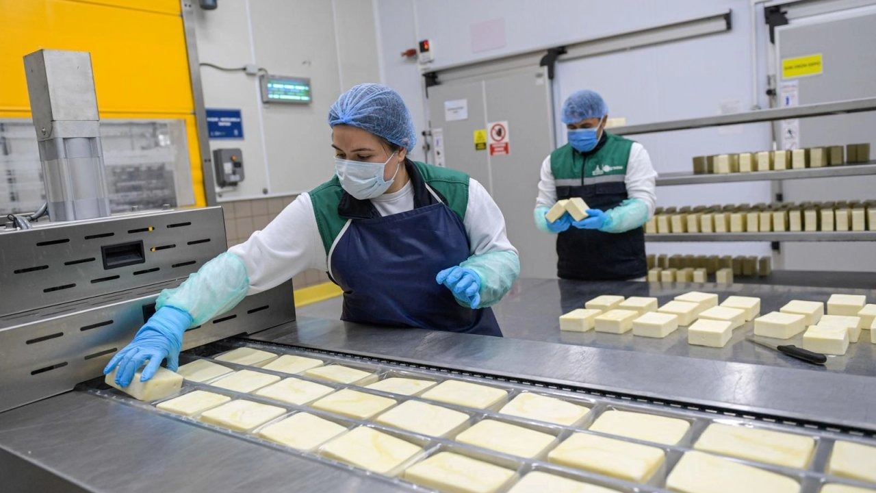 İzmir kırsalında büyük hamle