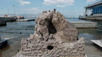 İzmir Körfezi’ne “Kabuktan Hayat” Projesi!