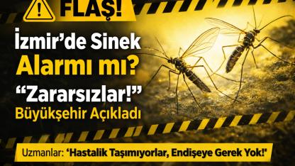 İzmir’de Sinek Tartışması!