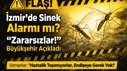 İzmir’de Sinek Tartışması!