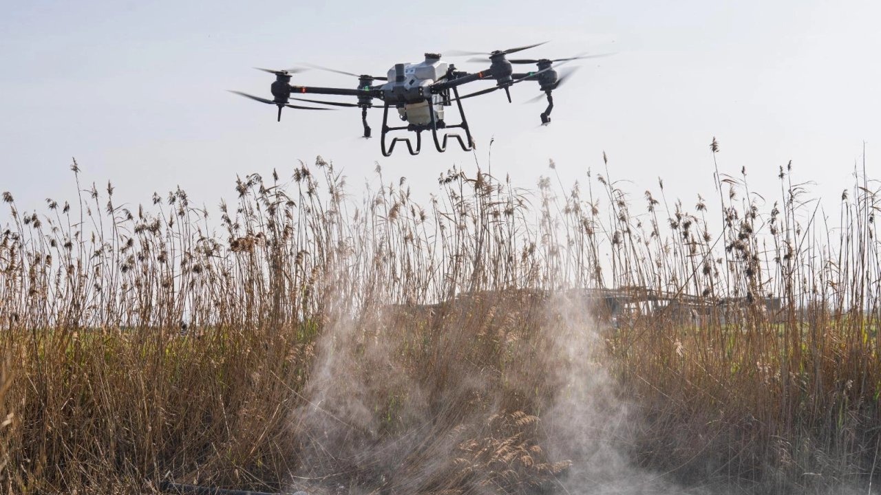 İzmir’de Sivrisinekle Mücadele 12 Ay Sürüyo