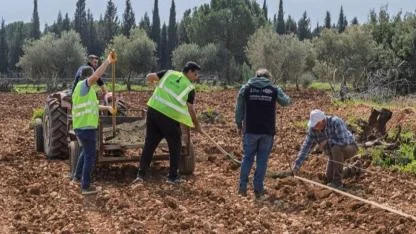 Kesilen ceviz ağaçlarının yerine 50 yeni fidan dikildi