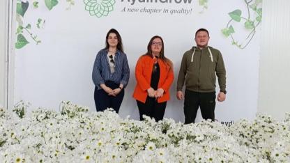 Simav’da Kadınlar Günü İçin 35 Bin Çiçek Dağıtıldı