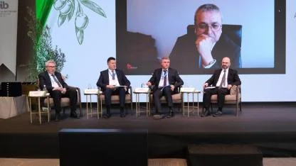 Türk Zeytinyağı İçin Kritik Dönem