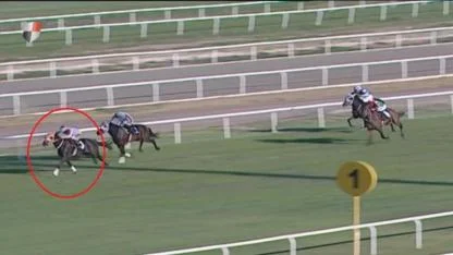 Yarış atı kavurma skandalında sahibine de ceza