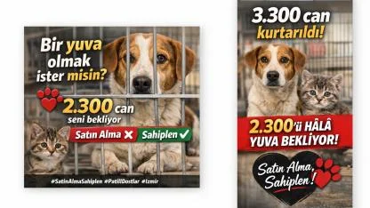 2 Bin 300 Patili Dost Sahibini Bekliyor! İşte Detaylar