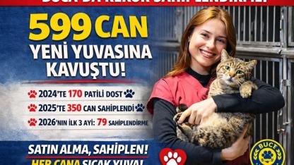 599 Can Yeni Yuvasına Kavuştu!