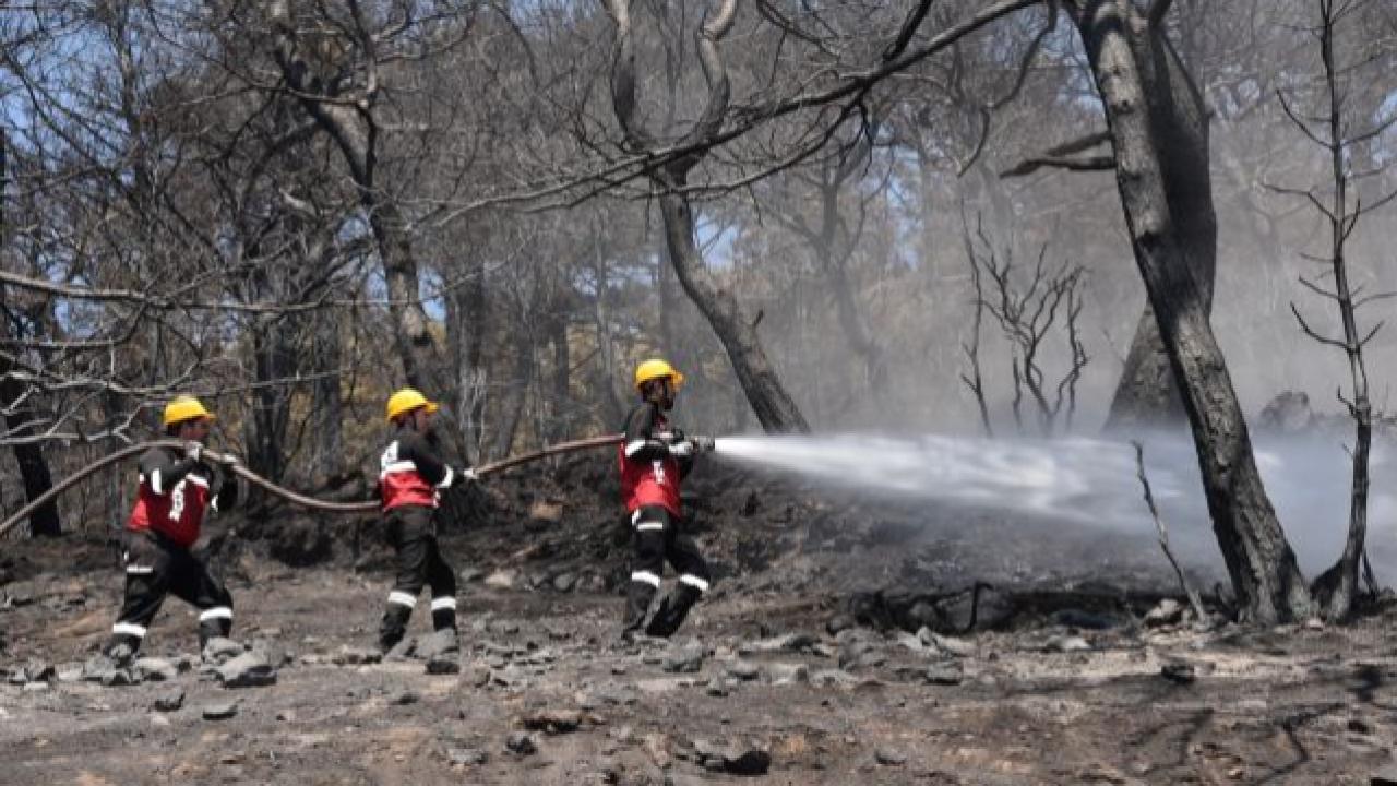 60 konteynerlik yaşam merkezi kuruldu