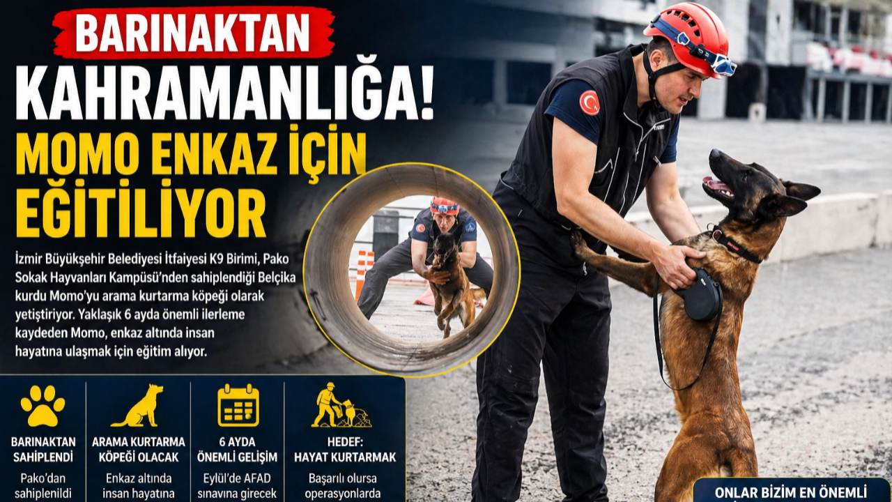 Bir köpeğin inanılmaz değişimi