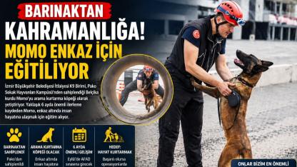 Bir köpeğin inanılmaz değişimi