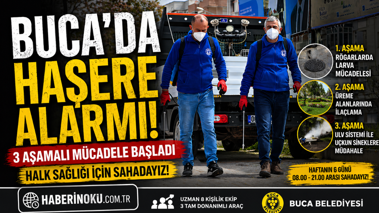 Buca’da haşerelere karşı 3 aşamalı savaş başladı!