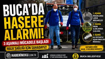 Buca’da haşerelere karşı 3 aşamalı savaş başladı!