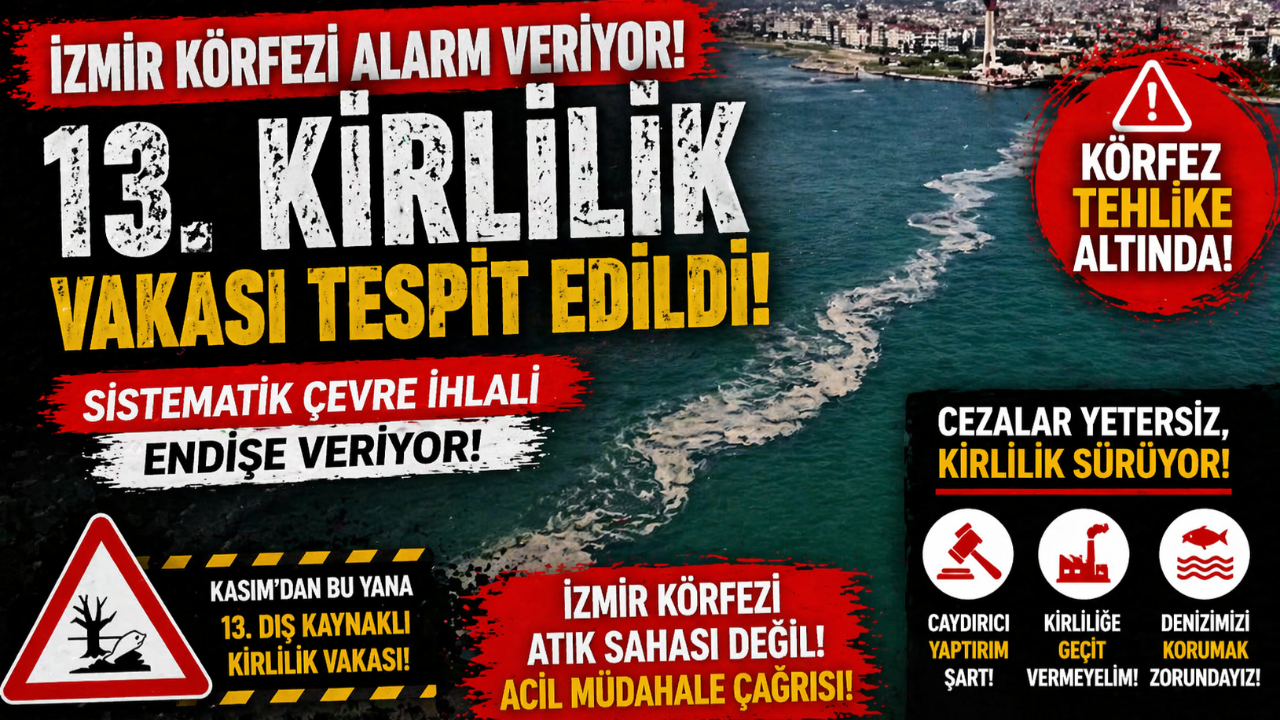 Çevre felaketi kapıda mı? Körfezde endişe