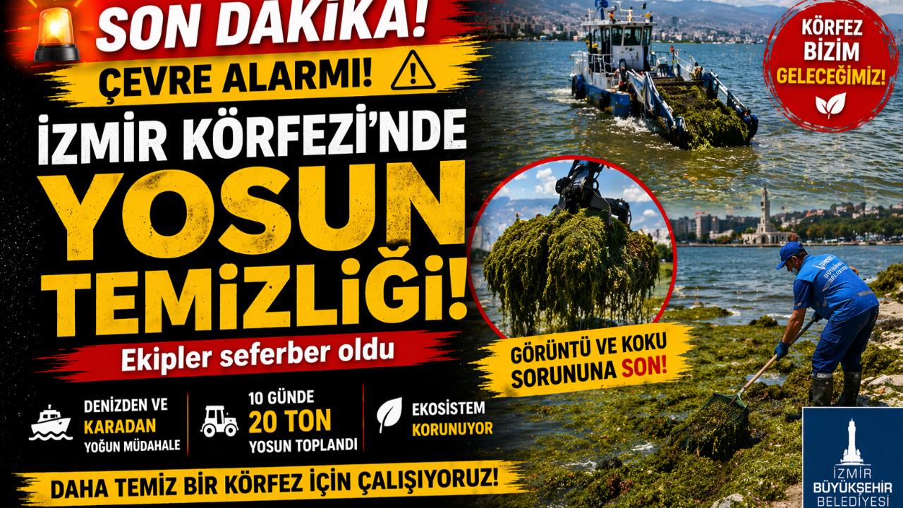 İzmir Körfezi’nde Alarm!