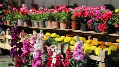 İzmir’de bahar coşkusu zirvede