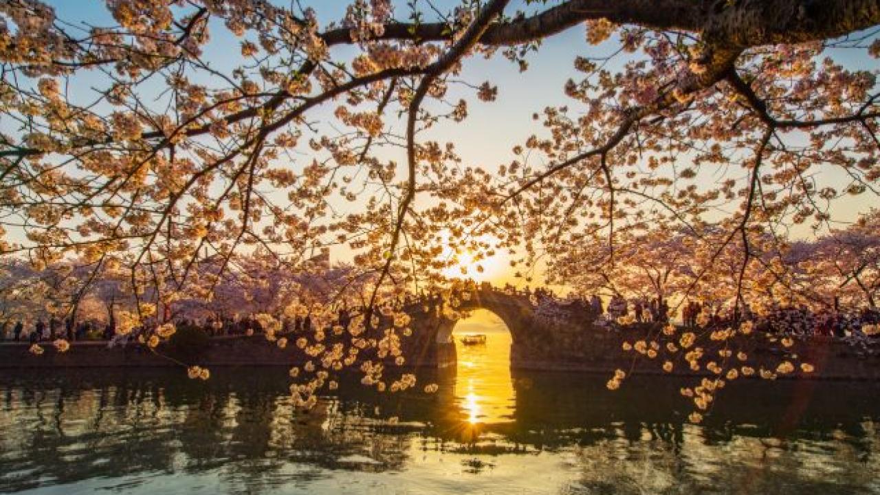 Kardeş Şehirler Aynı Kadrajda