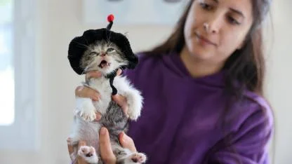 Minik “Zero” İçin Seferberlik: