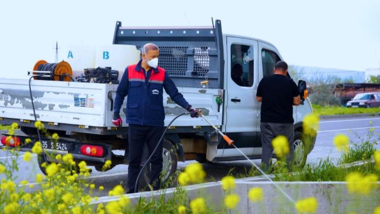Sivrisinek Sorununa Kalıcı Çözüm Geliyor