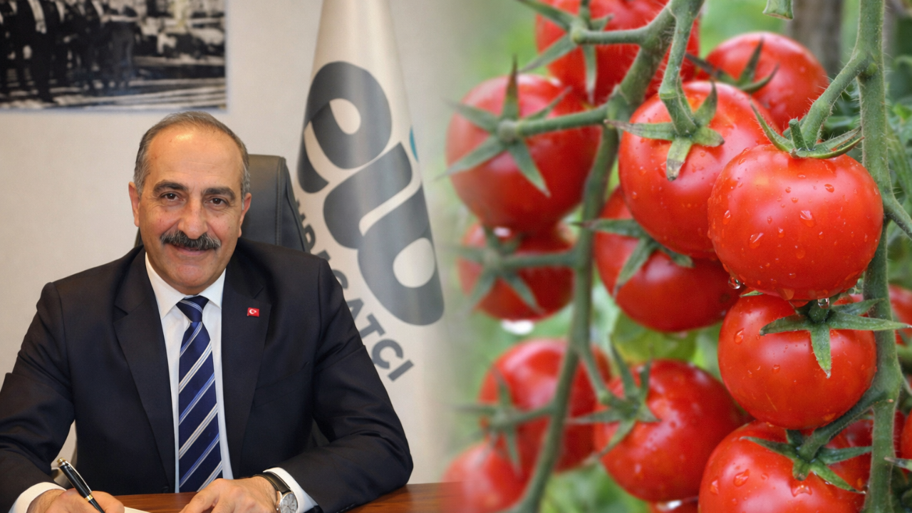 Türkiye’den dünya pazarına güçlü çıkış