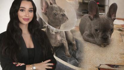 Veteriner Kliniği Hakkında Şok İddialar