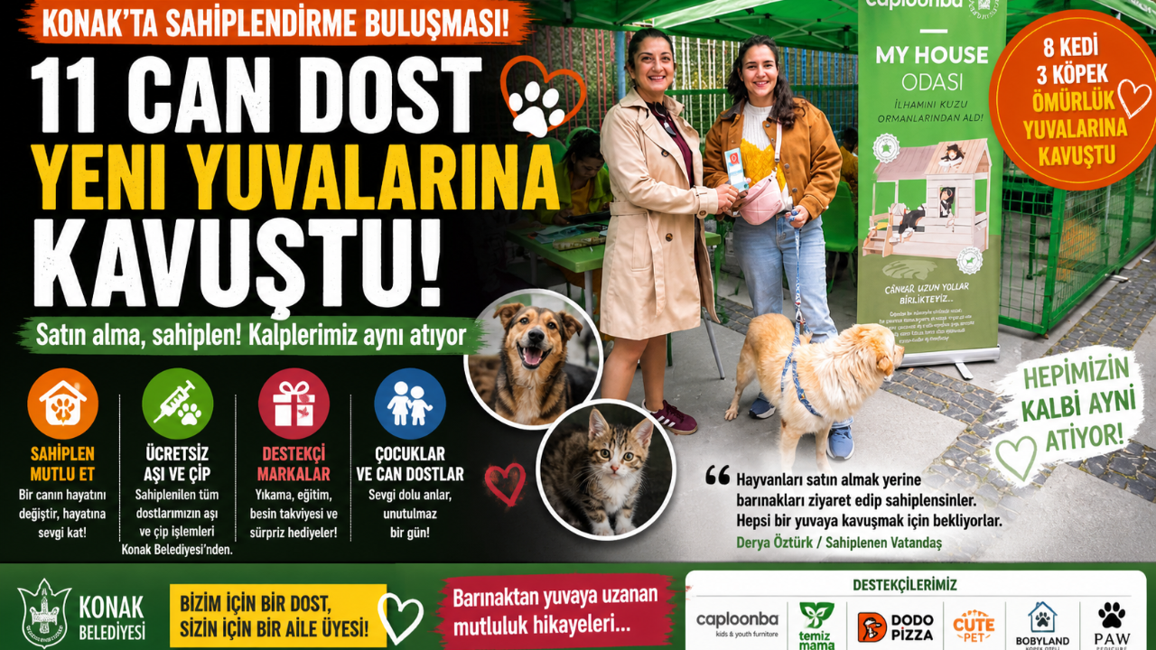 11 can dost sıcak yuvalarına kavuştu