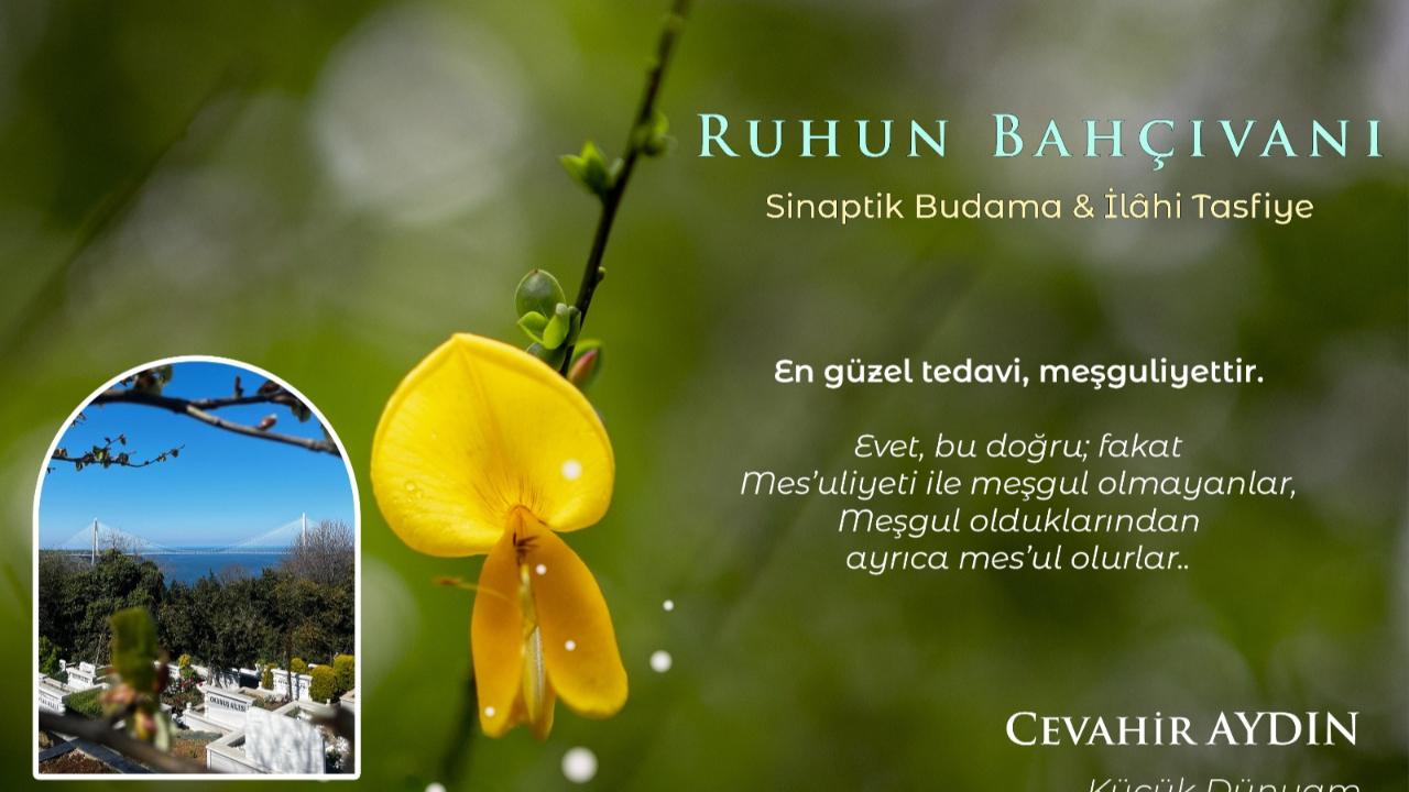Ruhun Bahçıvanı: Sinaptik Budama ve İlahi Tasfiye
