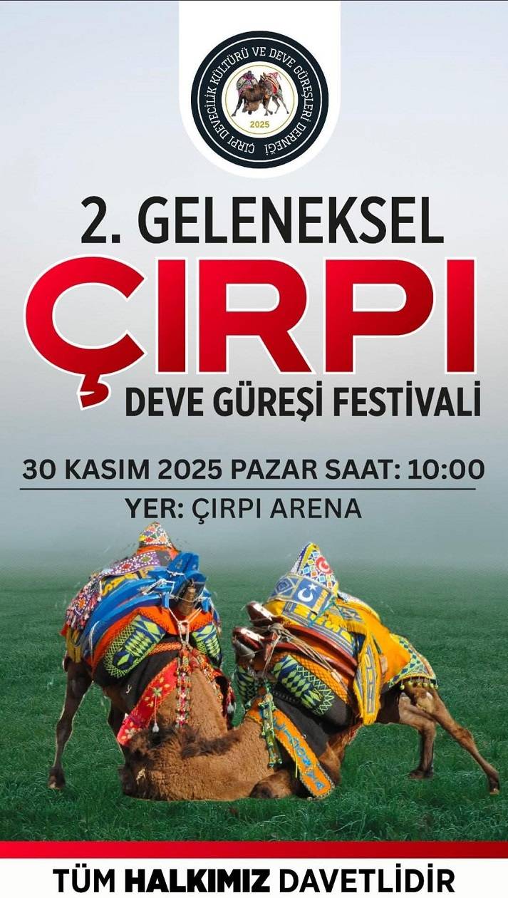 2. Geleneksel Deve Güreşi Festivali Bayındır Çırpı’da