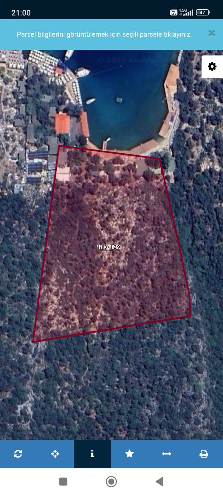 Limanağzı’nda Yol Tepkisi