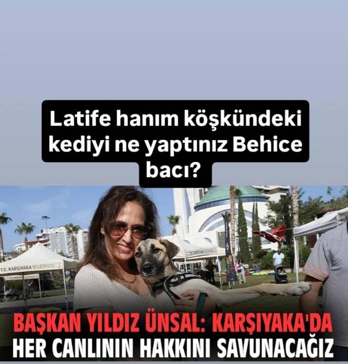 KEDİYİ NE YAPTINIZ BEHİCE HANIM?