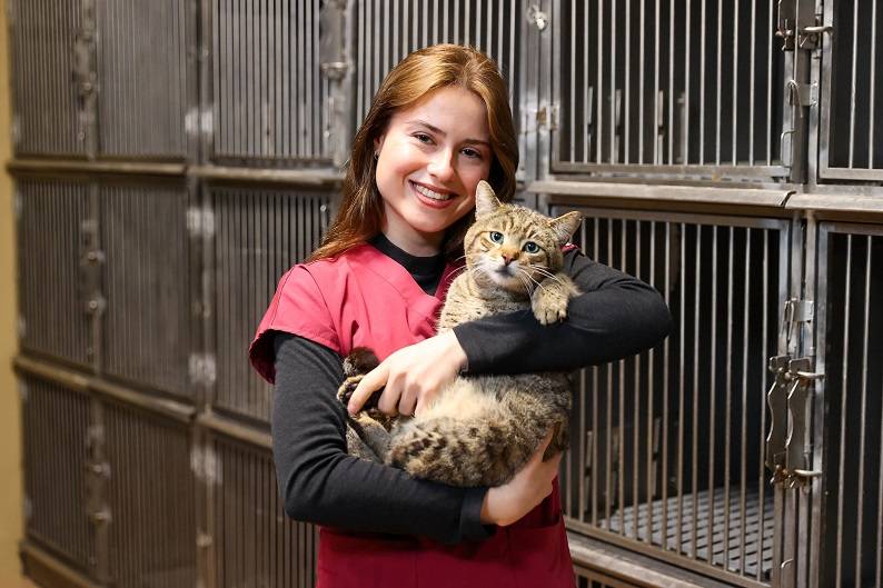 599 Can Yeni Yuvasına Kavuştu!